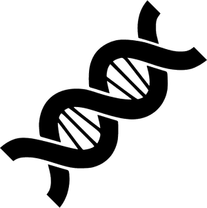 Abstract D N A Double Helix PNG with transparent background