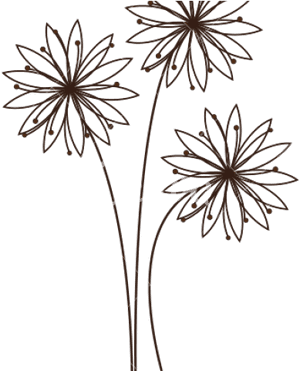 Daisy Flower Outline - Transparent Flower Outline Png, Png Download PNG image with transparent background