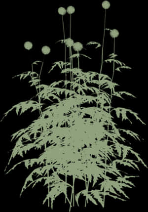 Abstract Dandelion Silhouette PNG image with transparent background