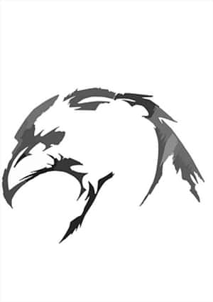 Abstract Eagle Profile Artwork PNG image with transparent background