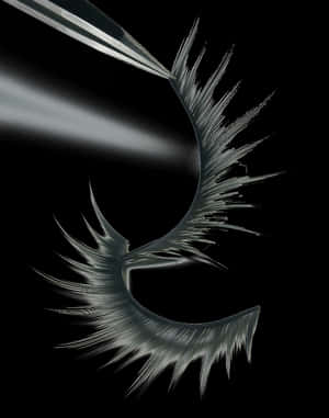 Lashes Png, Transparent Png PNG image with transparent background