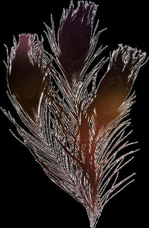 Peacock Feather Png Transparent Images - Transparent Background Peacock Feathers Png, Png Download PNG image with transparent background