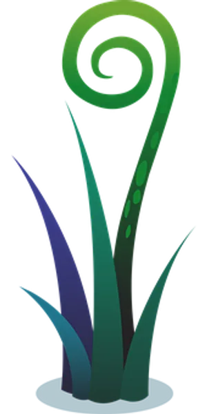 Abstract Fern Spiral Graphic PNG Image