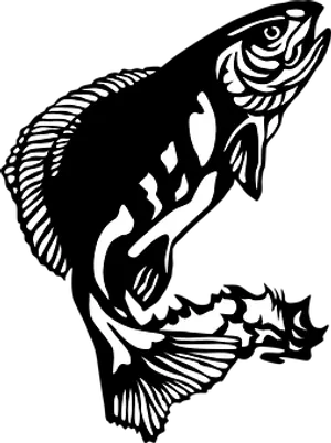 Abstract Fish Art Blackand White PNG Image