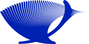 Blue,marine Biology,electric Blue, HD Png Download PNG image with transparent background