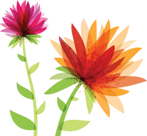 Abstract Floral Artwork PNG Image