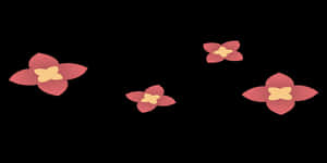 Abstract Floral Designon Black Background PNG image with transparent background