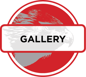 Gallery Red Icon Png , Png Download - Transparent Photo Gallery Icon, Png Download PNG
