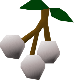 White Berries Osrs, HD Png Download PNG image with transparent background
