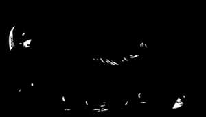 Abstract_ Goat_ Silhouette PNG image with transparent background