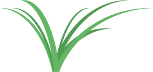 Abstract Grass Graphic PNG Image