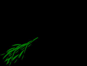 Abstract Green Bamboo Leaveson Black Background PNG image with transparent background