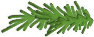 Abstract Green Branch Illustration PNG image with transparent background