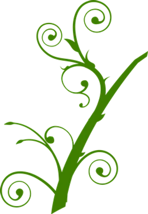 Abstract Green Floral Design PNG Image