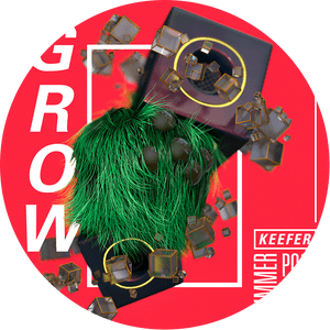 Wr Icon - Cd, HD Png Download PNG image with transparent background