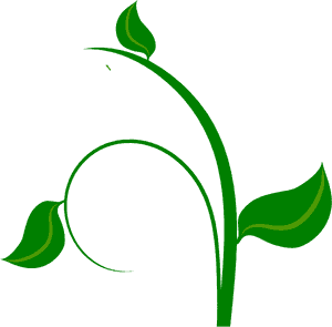 Green Clip Art At - Flower Vine Clip Art, HD Png Download PNG image with transparent background