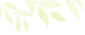 Flower, HD Png Download PNG with transparent background