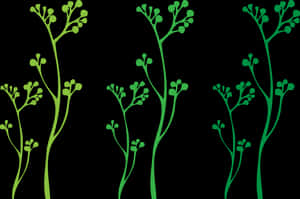 Abstract Green Plant Illustration PNG with transparent background