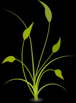 Abstract Green Plant Illustration PNG image with transparent background