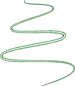 Abstract Green Spiral Graphic PNG Image