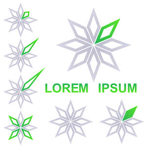 Abstract Green Star Logo Design PNG with transparent background