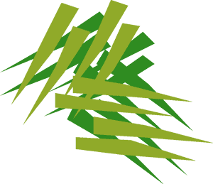 Abstract Green Strips Design PNG image with transparent background