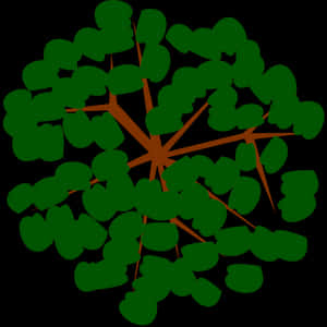 Abstract Green Tree Top View PNG image with transparent background
