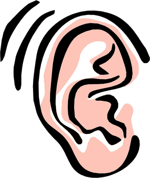 Ear Free Image Of The Clip Art On Transparent Png - Ear Clipart, Png Download PNG with transparent background