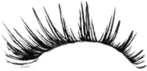 Hd Image Freeuse Eyelash Clipart Tumblr Transparent - Transparent Background Eyelashes Png, Png Download PNG image with transparent background