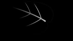Abstract Leaf Silhouetteon Black PNG image with transparent background