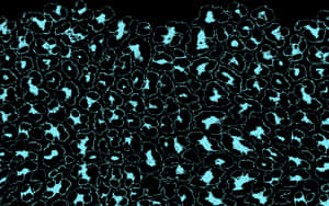 Abstract Leopard Print Design PNG image with transparent background