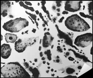 Abstract Leopard Print Pattern PNG image with transparent background