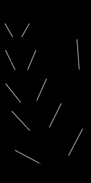 Abstract Light Streakson Black Background PNG image with transparent background