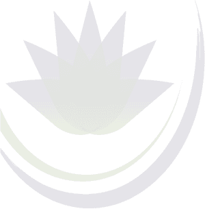 Check Out Our Segment On Independent Talk - Circle, HD Png Download PNG