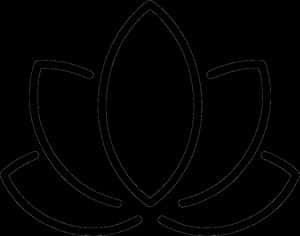 Lotus Flower Relaxation Harmony Wellness - Lotus Flower Png Icon, Transparent Png PNG image with transparent background