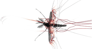 Mosquito Png Image Background - Mosquito Flying, Transparent Png PNG image with transparent background