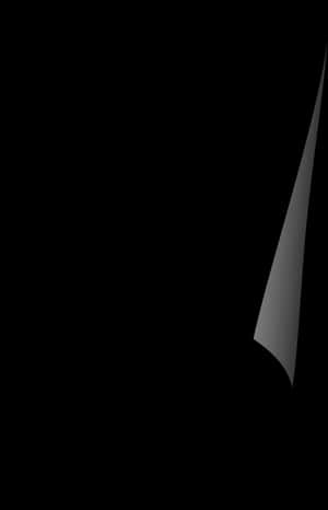 Free Nose Clipart - Black And White Images Of Nose, HD Png Download PNG image with transparent background