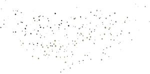 Dirt Particles Png, Transparent Png PNG with transparent background