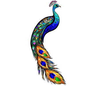 Abstract Peacock Art PNG gay PNG image with transparent background