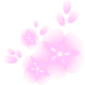 Ftestickers Flowers Light Glowing - Orchid, HD Png Download PNG image with transparent background