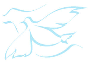 Abstract Pigeon Art PNG image with transparent background