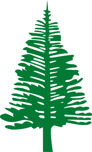 Abstract Pine Tree Graphic PNG Image