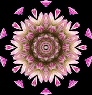 Pink,flower,symmetry - Does A Kaleidoscope Work, HD Png Download PNG image with transparent background