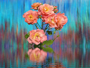 Abstract Pink Roses Reflection PNG image with transparent background