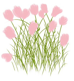 Transparent Bunga Png, Png Download PNG