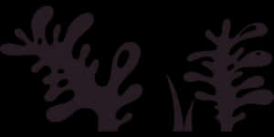 Abstract_ Plant_ Silhouettes_ Vector PNG image with transparent background