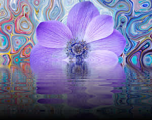 Abstract Purple Flower Reflection PNG image with transparent background