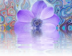 Abstract Purple Flower Reflection PNG Image