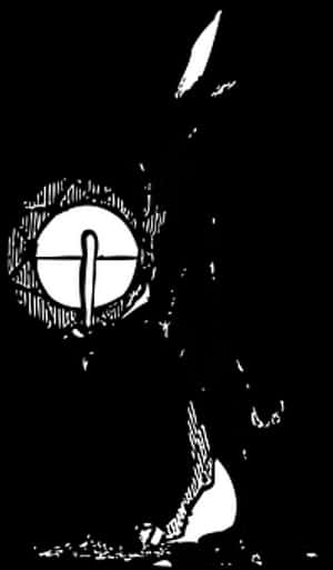 Abstract Rabbit Illusion PNG image with transparent background