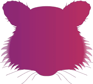 Raccoon Face Png Hd Image - Illustration, Transparent Png PNG image with transparent background